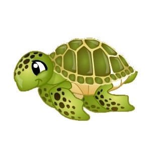 Cute Green Sea Turtle